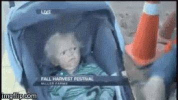 a baby is sitting in a stroller at the fall harvest festival ..
