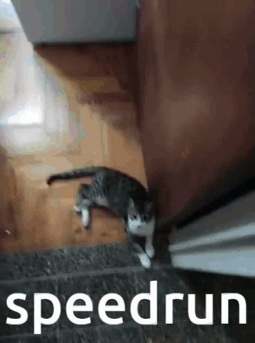 Speedrun Cat GIF - Speedrun Cat Meme GIFs