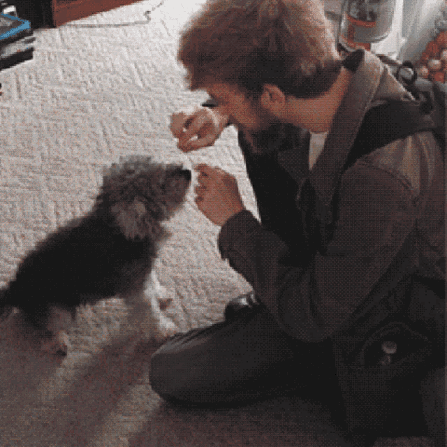 a man kneeling on the floor with a small dog looking at him