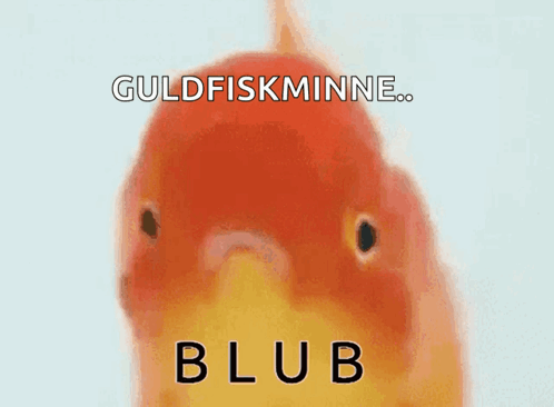 Blub Fish GIF - Blub Fish Goldfish GIFs