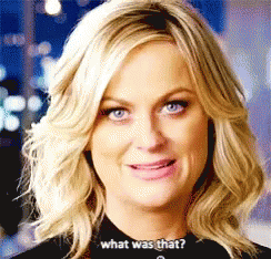 What Was That Amy Poehler GIF - What Was That Amy Poehler GIFs