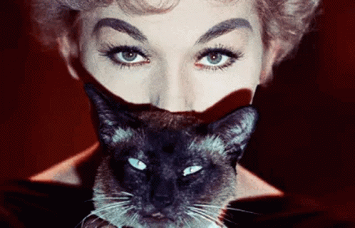 Signs Cat GIF - Signs Cat Eyes GIFs