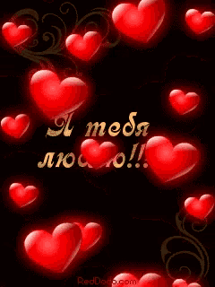 a black background with red hearts and the words " i love you " in gold