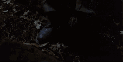 Friday The13th Ralph GIF - Friday The13th Ralph Sexy GIFs