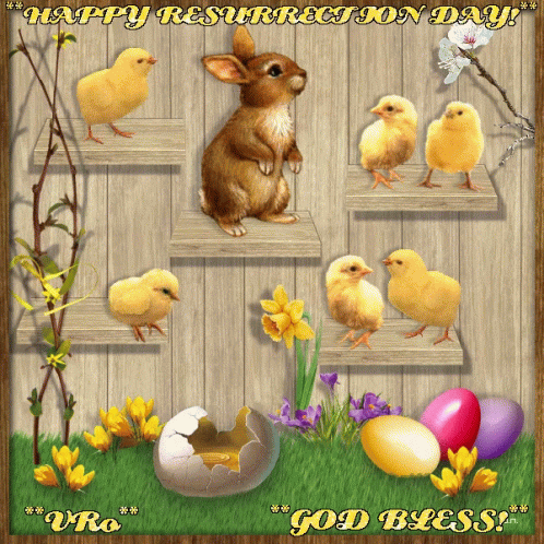 Easter Bunny GIF - Easter Bunny Chicks GIFs