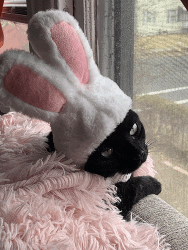 a black cat wearing bunny ears and a white hat
