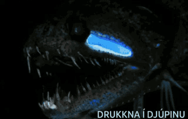 a picture of a fish with blue eyes and the words drukna i djupinu