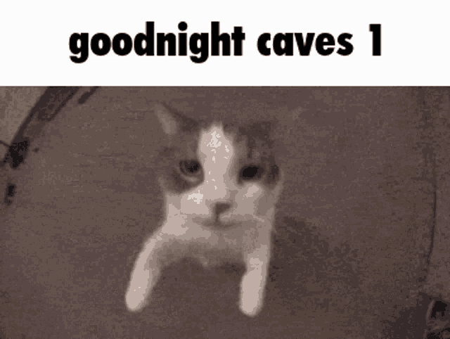 a picture of a cat with the words goodnight caves 1 written above it