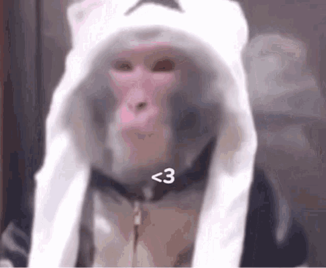 a close up of a monkey wearing a white hat with the number 3 on it