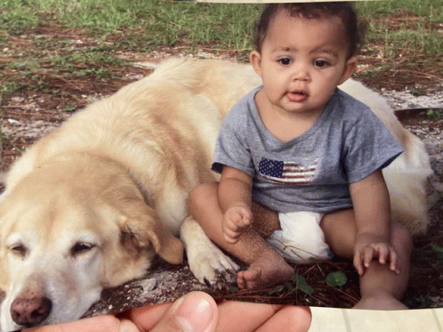 Baby With Lab GIF - Baby With Lab GIFs