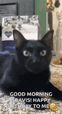 a black cat is laying on the floor and looking at the camera with the words `` good morning travis ! happy birthday to me '' .