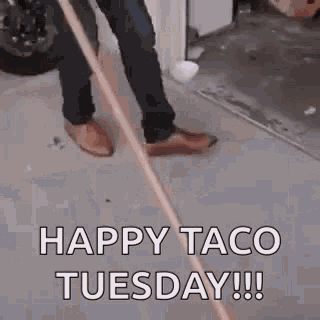 Happy Taco Tuesday Cat GIF - Happy Taco Tuesday Cat Funny GIFs