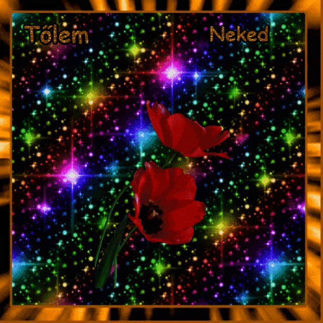 a picture of flowers with the words tolem neked written on it