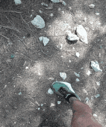 a person wearing a pair of blue nike shoes is walking on a dirt path