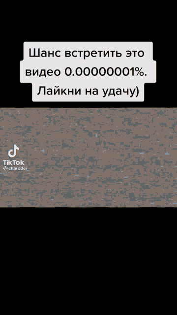 a screenshot of a tiktok video of a mouse in a bucket .