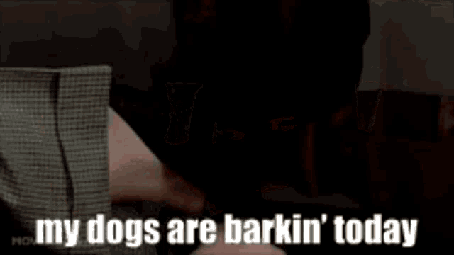 a person is laying on a couch with the words `` my dogs are barkin ' today ''