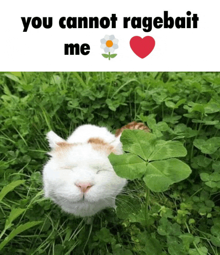 a white cat is laying in the grass with a leaf in its mouth