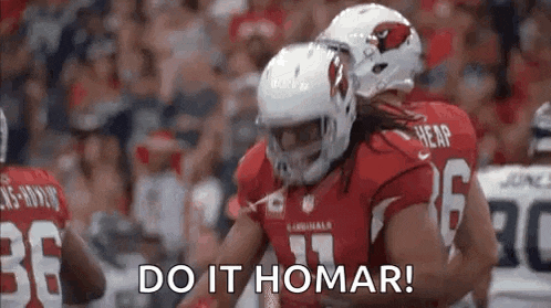 Larry Fitzgerald Cardinals GIF