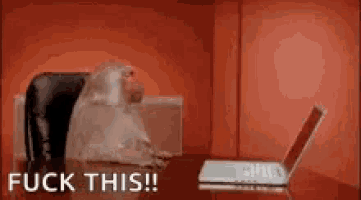 Office Monkey Fuck This GIF