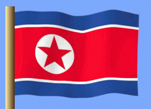 Kuzey Kore GIF - Kuzey Kore GIFs