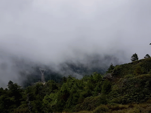 Nube Nature GIF - Nube Nature Fog GIFs