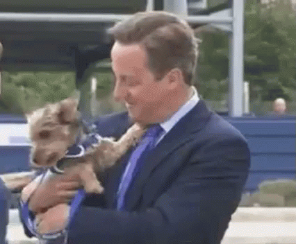 David Cameron GIF - David Cameron Puppy GIFs