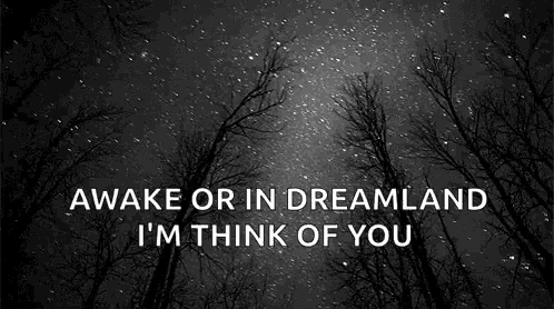 a black and white photo of trees under a starry sky with the words `` awake or in dreamland i 'm think of you ''