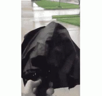 Umbrella Rain GIF - Umbrella Rain Weather GIFs