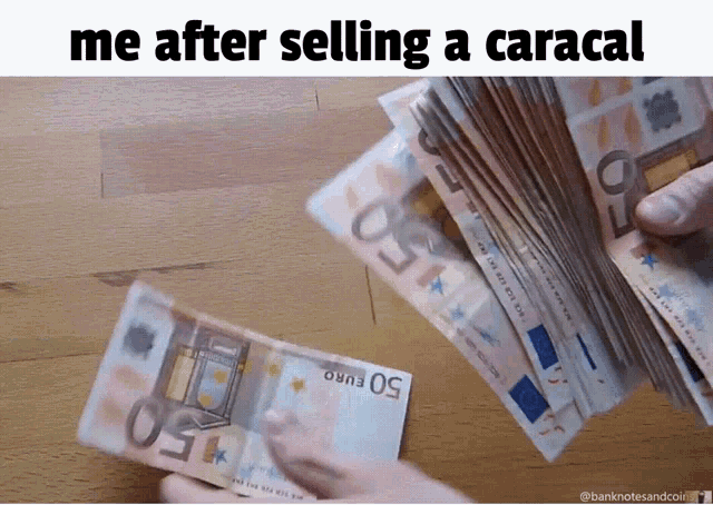 a stack of 50 euro bills on a table
