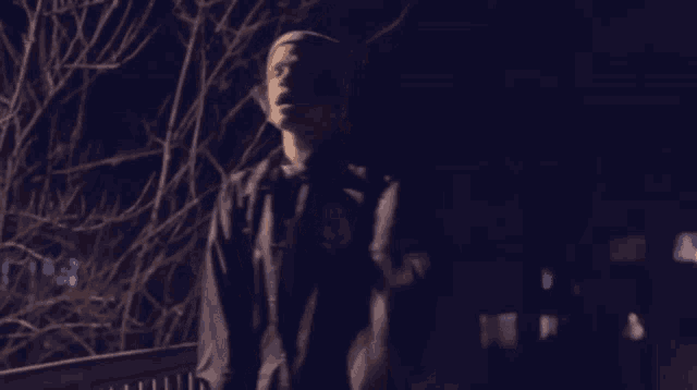 a blurry picture of a person standing in the dark with a blurred background