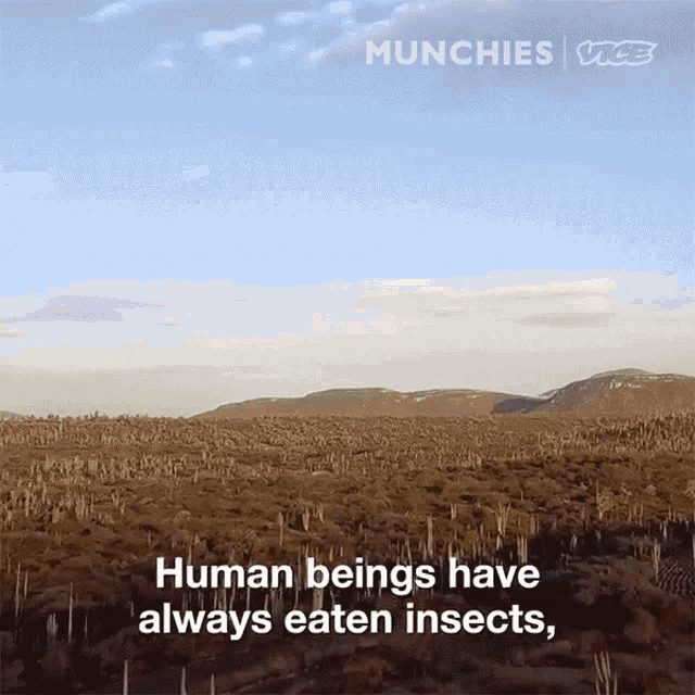 Human Beings Have Always Eaten Insects But Out Prehispanic Ancestors Were The First Ones To Put Them In A Tortilla GIF - Human Beings Have Always Eaten Insects But Out Prehispanic Ancestors Were The First Ones To Put Them In A Tortilla And Eat Them As A Delicious Taco GIFs