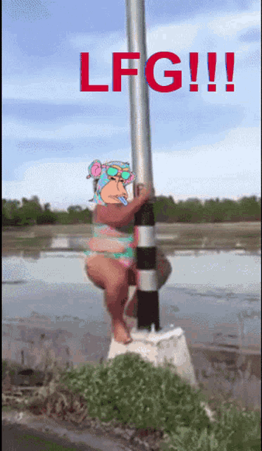a woman in a bikini is standing on a pole with the words lfg !!! on the top