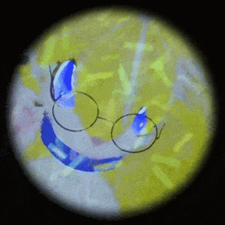 a drawing of a cat wearing glasses is seen through a microscope