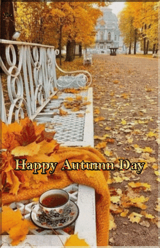 a cup of tea sits on a park bench with the words happy autumn day