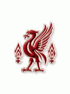 Liverpool Flag GIF - Liverpool Flag Spinning GIFs