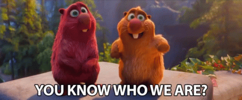 You Know Who We Are You Know Us GIF - You Know Who We Are You Know Us Familiar GIFs