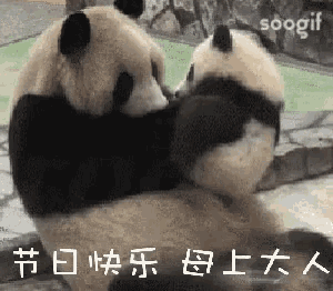 two panda bears are hugging each other with chinese writing on the bottom