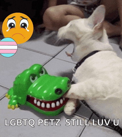 a picture of a dog playing with a toy crocodile with the caption lgbtq petz still luv u