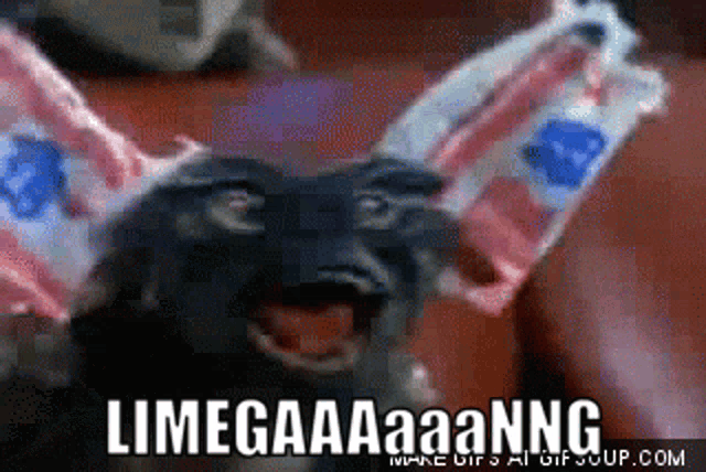 a picture of a gremlin with a caption that says limegaaaaanng