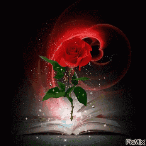 a red rose is coming out of a book