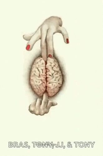 Finger Brain GIF - Finger Brain GIFs