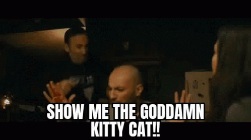 Cat Kitty GIF - Cat Kitty Kitty Cat GIFs
