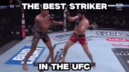 the best striker in the ufc is shown on a screen