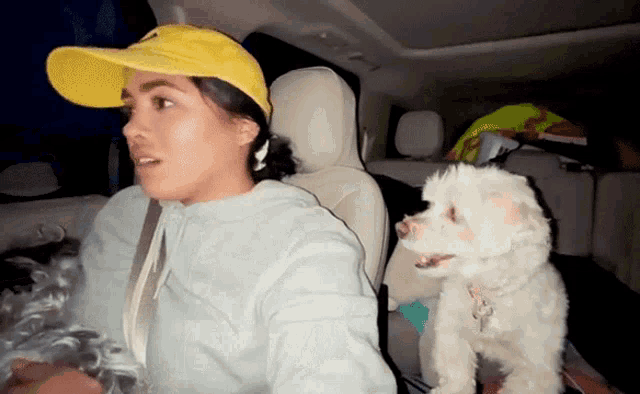 a woman in a yellow hat sits in the back seat of a car with a small white dog behind her