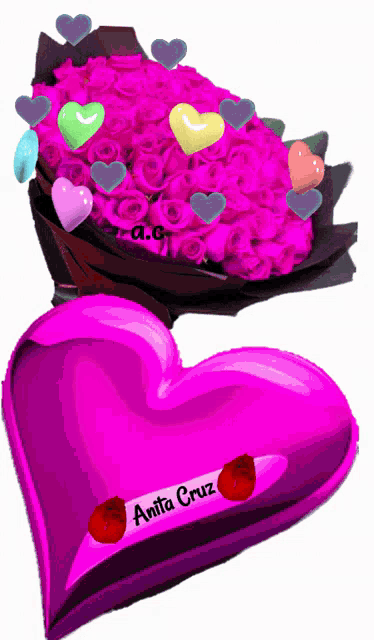 a bouquet of pink roses sits above a pink heart that says anita cruz