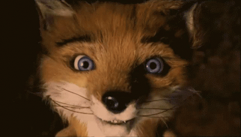 Different Fantastic Mr Fox GIF - Different Fantastic Mr Fox Fox GIFs