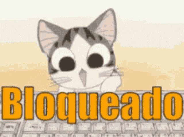 a cartoon cat behind a keyboard with the word bloqueado on it