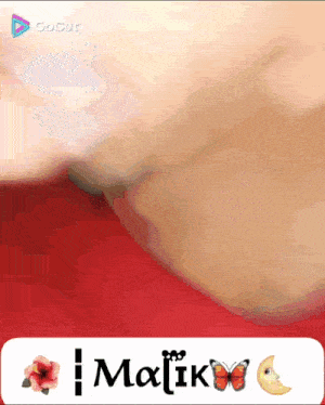a close up of a person 's arm with a butterfly and the name malik on it