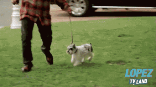 a man is walking a small white dog on a leash in front of a lopez tv land sign