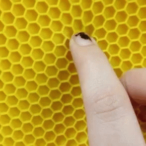 Silicone Bee GIF - Silicone Bee Movie GIFs